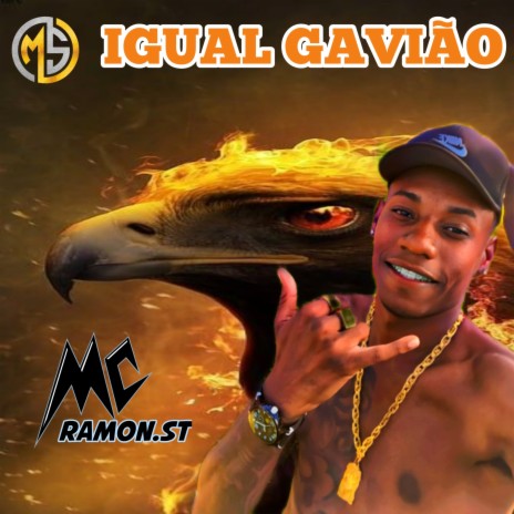 Igual Gavião | Boomplay Music