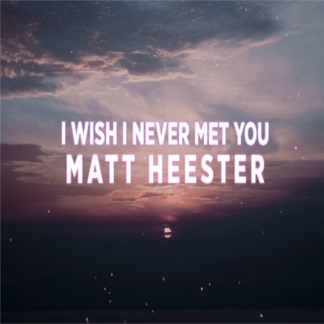 I Wish I Never Met You! | Boomplay Music