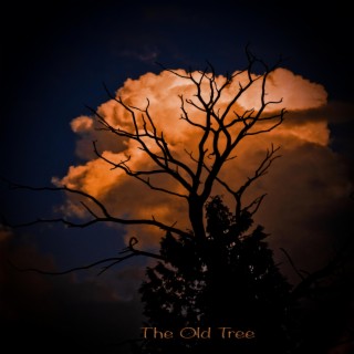 The old tree