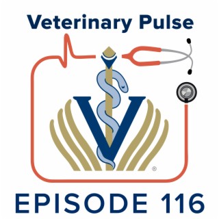 SAVMA Chapter President Jonathan Dumas discusses the diversity, equity, and inclusion reality as a veterinary student