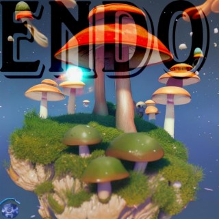 'Endo'