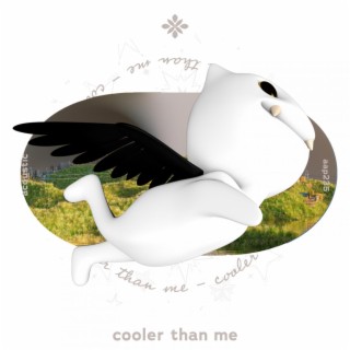 cooler than me - acoustic