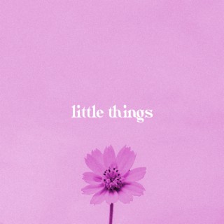 Little Things