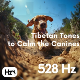 528 Hz Tibetan Tones to Calm the Canines