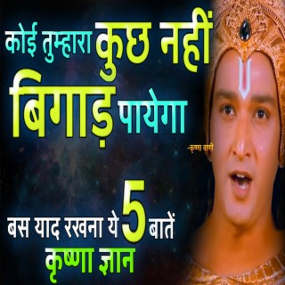 कोई तुम्हारा कुछ नहीं बिगड़ पायेगा | Krishna Motivational Speech (Krishna Motivational Speech, krishna vani, krishna updesh, bhagwat geeta, geeta updesh)