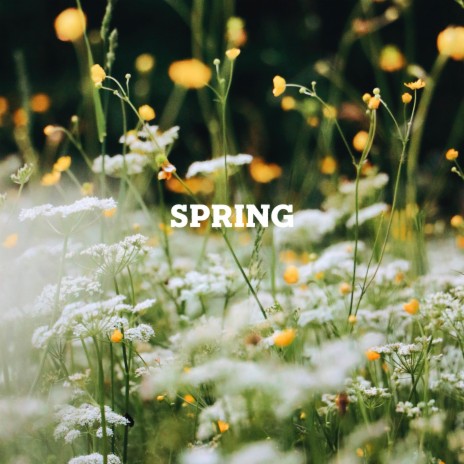 Spring | Boomplay Music