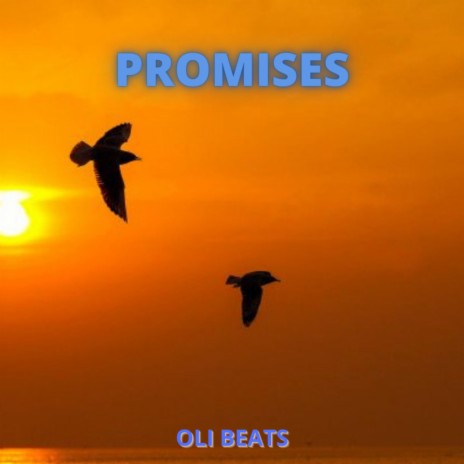 Promises - Boom Bap Beat