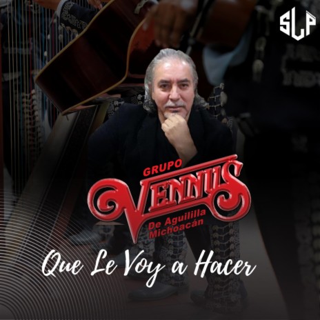 Que Le Voy A Hacer | Boomplay Music
