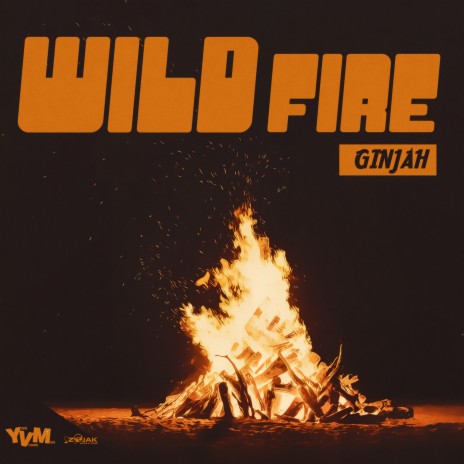 Wild Fire Instrumental