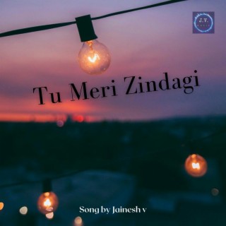 Tu Meri Zindagi