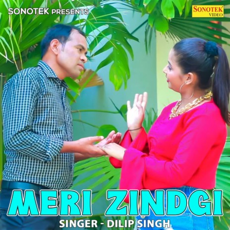 Meri Zindgi | Boomplay Music