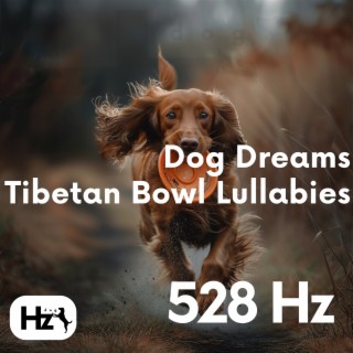 528 Hz Dog Dreams: Tibetan Bowl Lullabies