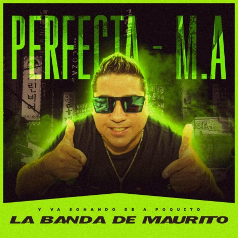 Perfecta / M.A | Boomplay Music