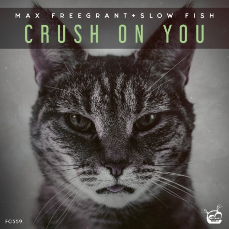 Crush On You (Extended Mix) ft. Slow Fish