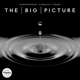 The Big Picture