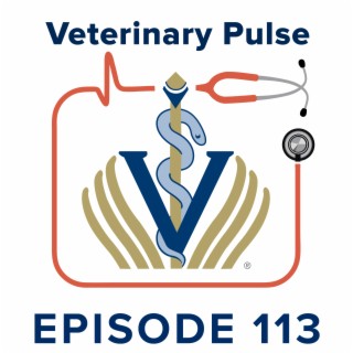 The Financials of Applying to Veterinary School with Amber McElhinney