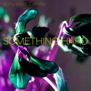 Something hard (for Camilla)
