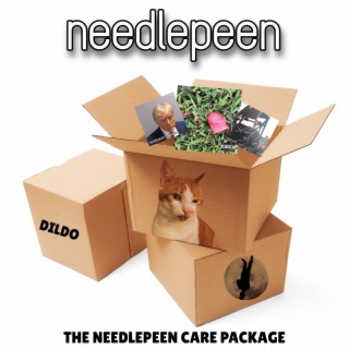The Needlepeen Care Package