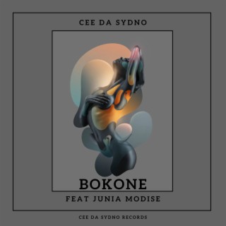 Bokone (feat. Junia Modise)