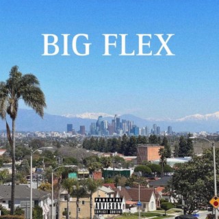 BIG FLEX lyrics | Boomplay Music