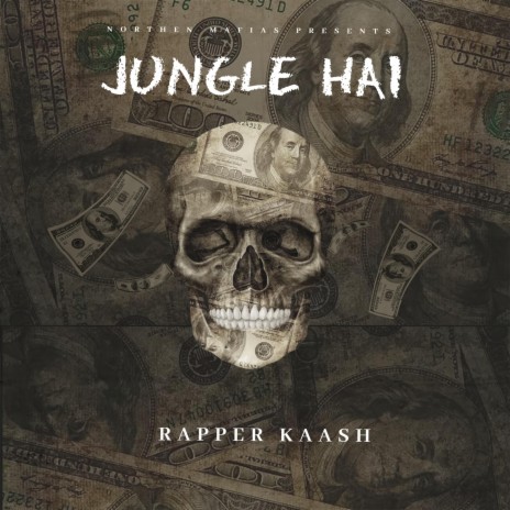 Jungle Hai | Boomplay Music