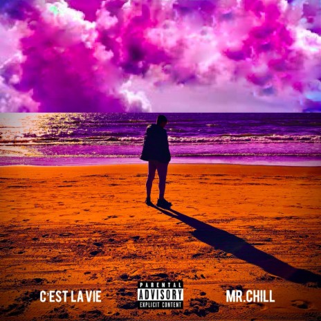 C'est la vie | Boomplay Music