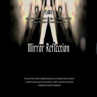 Mirror Reflection