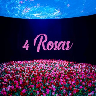 4 Rosas