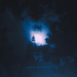 Lost in the Woods (Remastered)