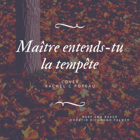 Maître entends-tu la tempête | Boomplay Music