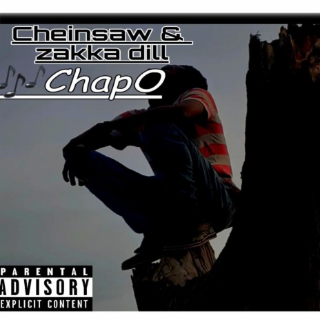 Chapo (feat. Zakka dill)