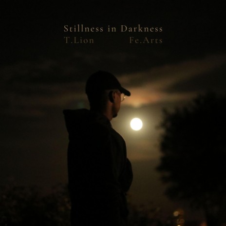 Stillness in Darkness ft. Fe.Arts | Boomplay Music