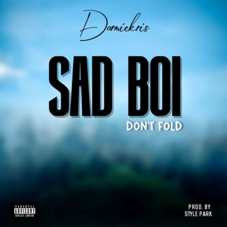 Sad Boi (Don't Fold) | Boomplay Music