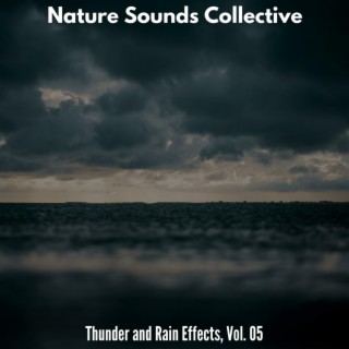 Nature Sounds Collective - Thunder and Rain Effects, Vol. 05