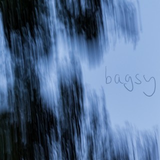 bagsy