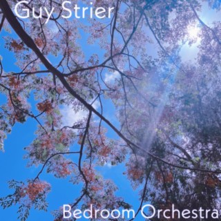 Bedroom Orchestra