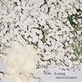 A song about allergies lyrics | Boomplay Music