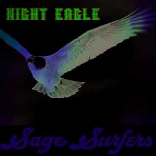 Night Eagle