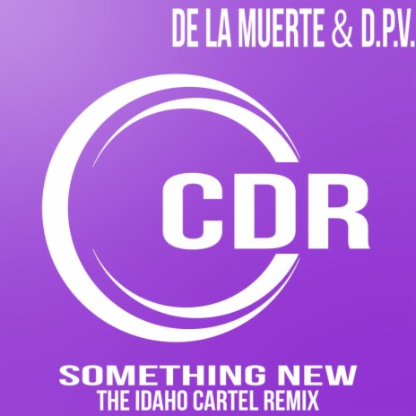 Something New (The Idaho Cartel Remix) ft. D.P.V.