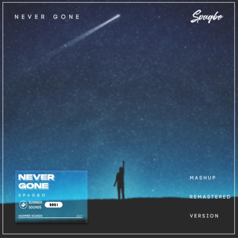 Never Gone | Boomplay Music