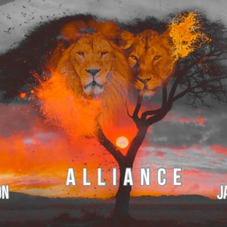 Alliance (feat. Jay Tha Queen) | Boomplay Music