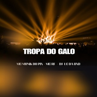 TROPA DO GALO