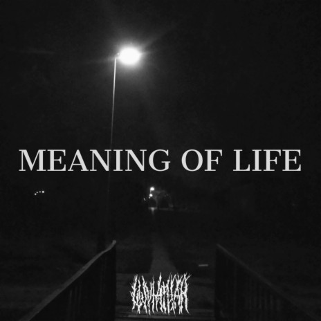 MEANING OF LIFE ft. SENZORITY