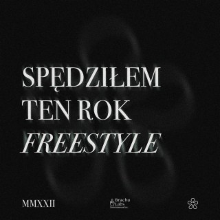 Spędziłem Ten Rok Freestyle lyrics | Boomplay Music