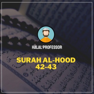 Surah Hood Verse 42-43 (Qur'an Recitation)