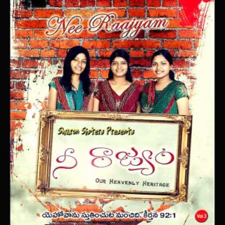 NEE RAJYAM SS VOL-3