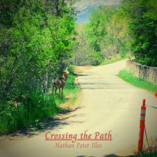 Crossing the Path