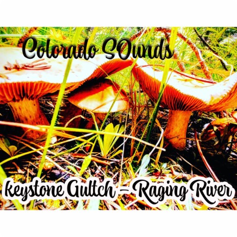 Colorado Sounds Keystone Gultch Raging River