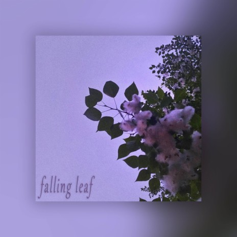 Falling Leaf | Boomplay Music