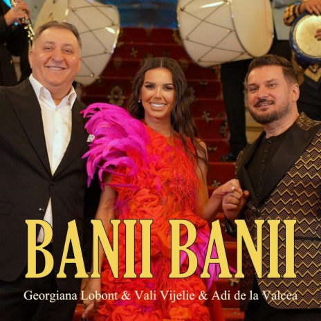 Banii, Banii ft. Vali Vijelie & Adi de la Valcea | Boomplay Music